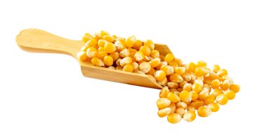 Organik sarı mısır tohumu ya da tahta kaşıkta mısır taneleri. Beyaz arkaplanda izole edilmiş sarı mısır tohumları.