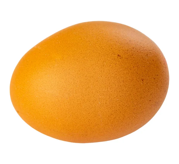 Αυγό Απομονωμένο Λευκό Φόντο Βιολογικά Καφέ Αυγά — Φωτογραφία Αρχείου