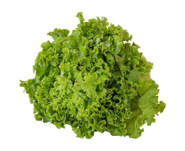 Friss Zöld Saláta Izolált Fehér Alapon Saláta Vágási Útvonal — Stock Fotó