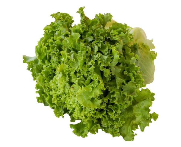 Fresh Green Lettuce Isolated White Background Lettuce Clipping Path — Stock Photo, Image