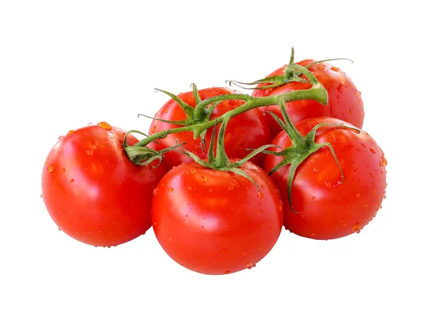 一束西红柿在白色的背景上被分离出来 番茄种植路径 有水滴的分离番茄 — 图库照片