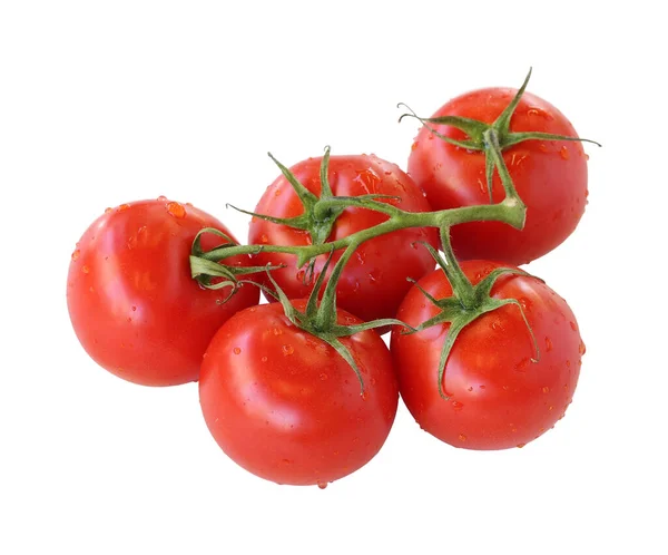 一束西红柿在白色的背景上被分离出来 番茄种植路径 有水滴的分离番茄 — 图库照片