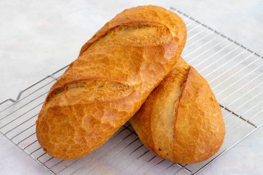 Fırından yeni çıkmış taze ekmek. Buğday ekmeği