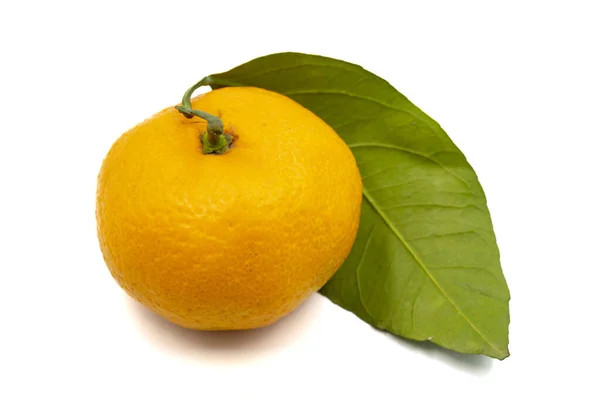 Tangerine Isolerad Vit Bakgrund Närbild — Stockfoto