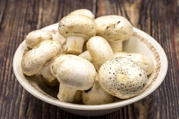 Paddenstoelen Een Keramische Plaat Een Houten Vloer Gecultiveerde Paddenstoel Portabello — Stockfoto