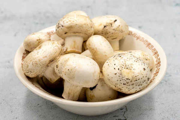 Paddenstoelen Een Keramische Plaat Een Stenen Vloer Gecultiveerde Paddenstoel Portabello — Stockfoto