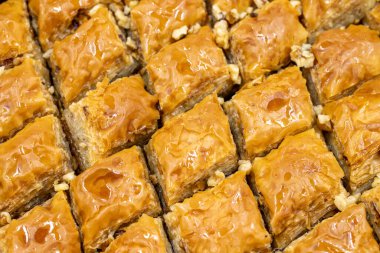 Ceviz baklavası. Tepside baklava yakın çekim. yerel adı cevizli baklava