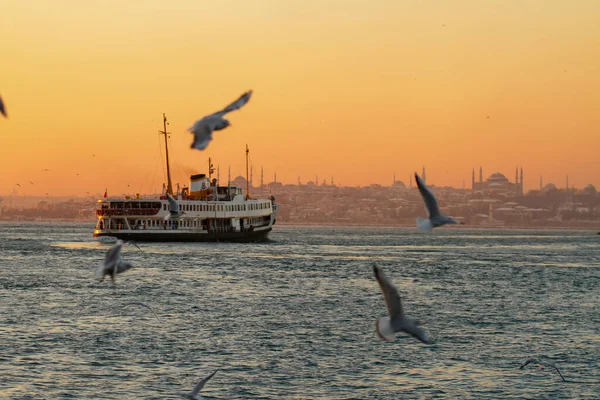 Bosporus Saat Matahari Terbenam Dengan Burung Camar Dan Hagia Sophia — Stok Foto