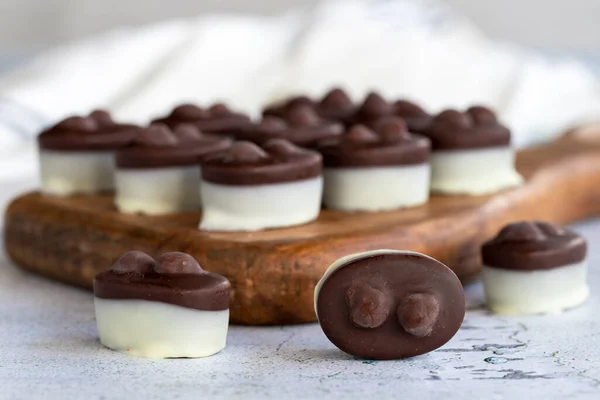 Hazelnut chocolate. Special hazelnut chocolate on a white background. close up