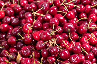 Taze kiraz. Toptan kirazları yakın çekim. kiraz arkaplanı