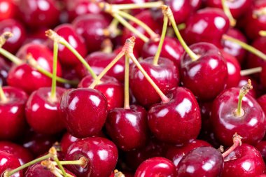 Taze kiraz. Toptan kirazları yakın çekim. kiraz arkaplanı