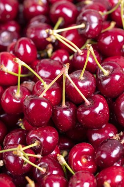 Taze kiraz. Toptan kirazları yakın çekim. kiraz arkaplanı