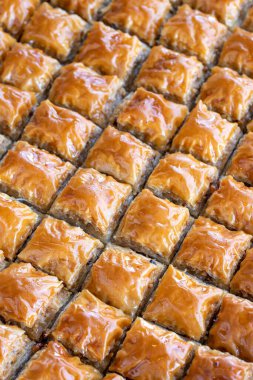 Walnut baklava. Close-up baklava in tray. Turkish cuisine.