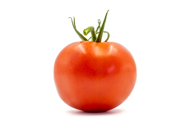Ripe Tomatoes Fresh Tomatoes Isolated White Background Organic Food Close — Φωτογραφία Αρχείου