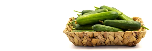 Ripe Cucumber Fresh Cucumbers Basket Isolated White Background Organic Food — Stockfoto