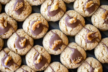 Walnut cookies. Freshly baked chocolate walnut cookies in a tray. close up