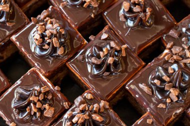 Chocolate tartlet. Small chocolate cake, fresh out of the oven, in a tray. close up
