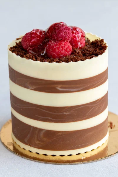 Chocolate Fruit Cake Cake Surrounded Chocolate White Background Close — ストック写真
