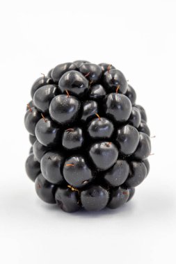 Black mulberry isolated on white background. Fresh and juicy black mulberry. Organic food. close up
