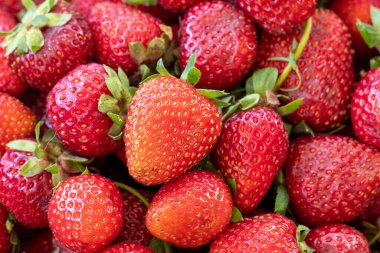 Pile of ripe strawberries. Fruit background. close up