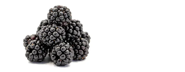 Black Mulberry Isolated White Background Fresh Juicy Black Mulberry Organic — Zdjęcie stockowe