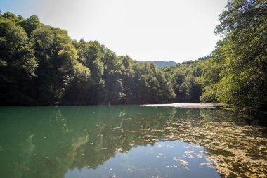 Lake hidden in the forest. Turkey Bolu Yedigoller. Outdoors lake view