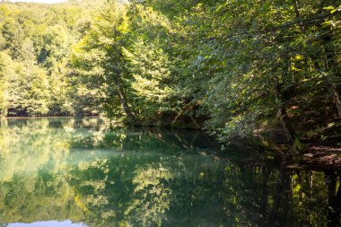 Lake hidden in the forest. Turkey Bolu Yedigoller. Outdoors lake view