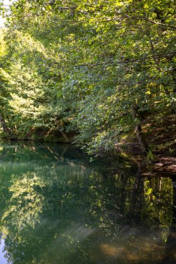 Lake hidden in the forest. Turkey Bolu Yedigoller. Outdoors lake view