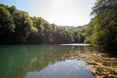 Lake hidden in the forest. Turkey Bolu Yedigoller. Outdoors lake view