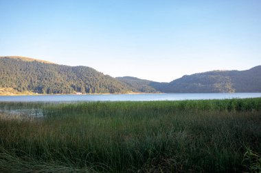 Bolu Abant Lake. Outdoors lake view