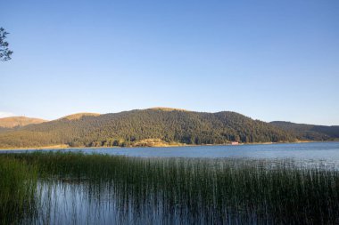 Bolu Abant Lake. Outdoors lake view