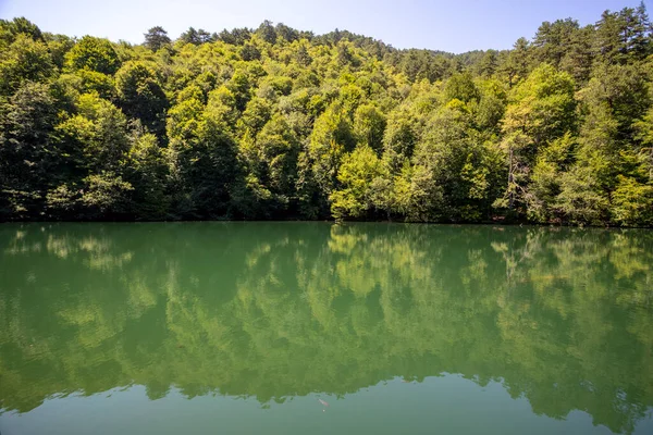 Lake hidden in the forest. Turkey Bolu Yedigoller. Outdoors lake view