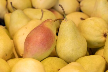 Armut tezgahta. Olgun armut yığını