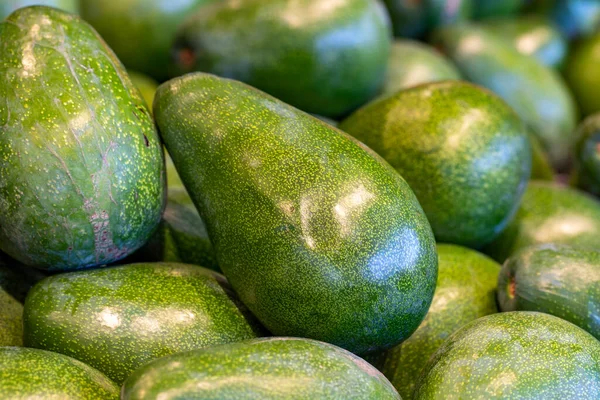 Ripe avocado on the market counter. Exotic fruit. pile of avocado