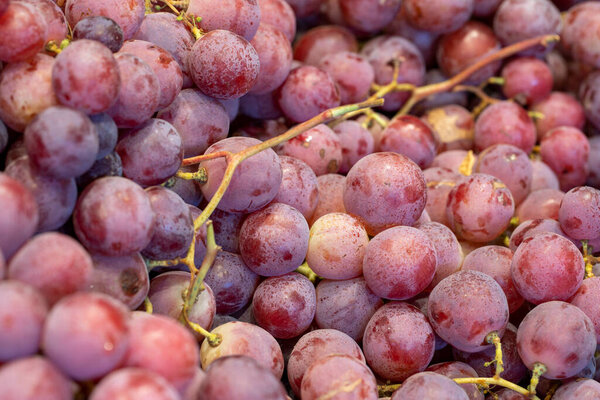 Bunch of grapes on the market counter. Pile of ripe grapes