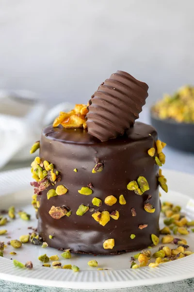 Pistachio cake. Bakery products. Chocolate and pistachio cake on a gray background. close up