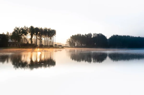Egy Gyönyörű Ködös Nyári Reggelen Lagúnánál Krasnobrod Ban Napkelte Fák — Stock Fotó