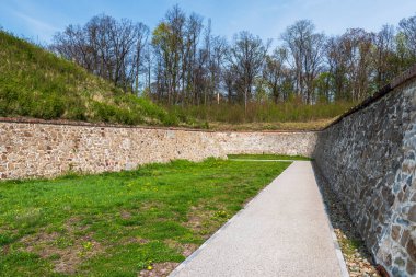 Batan güneşin ışığında parlayan Silezya gökevinin kubbesi. Chorzow 'daki gökevinin çatısındaki alüminyum paneller.