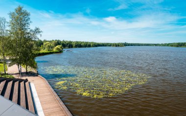 Tychy 'deki paprocaskie gölü manzarası. Ön planda tahta platformlar. Su bitkileri ve yelkenliler. Güzel güneşli bir gün. 