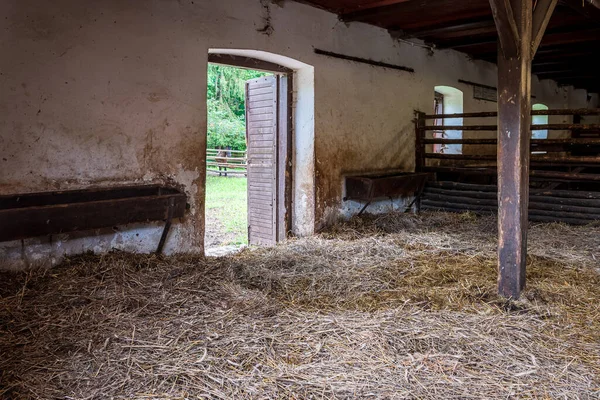 Interior of stable in horse breeding in Florianka, Zwierzyniec, Roztocze, Poland. Clean hay lying down on the floor. Drinker and stalls for horses