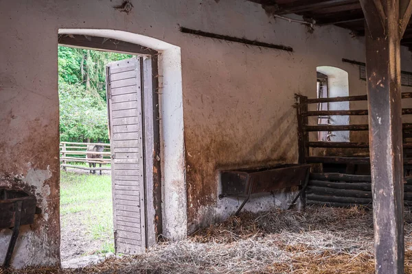 Interior of stable in horse breeding in Florianka, Zwierzyniec, Roztocze, Poland. Clean hay lying down on the floor. Drinker and stalls for horses