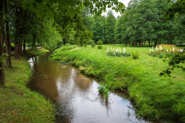 A charming river with a sandy bottom flowing through the spa park in Horyniec-Zdroj
