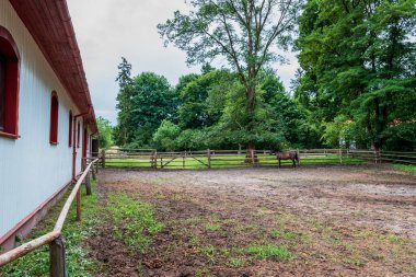 Florianka 'da damızlık çiftliği olan atlar için güzel bir otlak. Polonya atı yetiştiriciliği. Zwierzyniec, Polonya