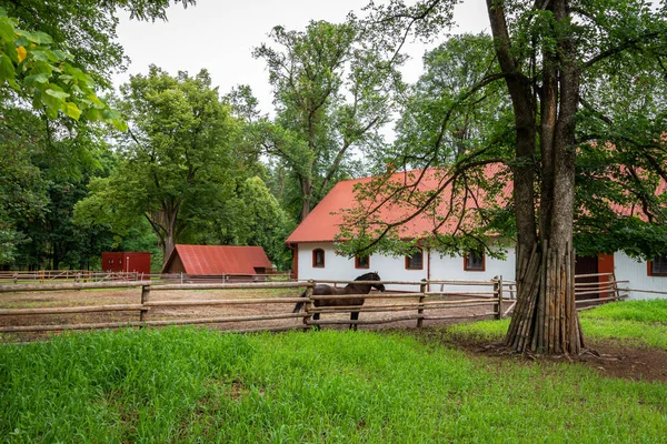 Horse stud and breeding farm in Florianka. Red metal sheet on the roof covering