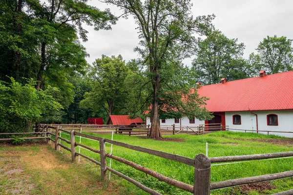 Horse stud and breeding farm in Florianka. Red metal sheet on the roof covering