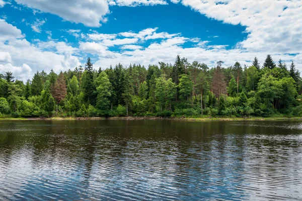 View Beautiful Reservoir River Gorecko Koscielne Poland — Foto Stock