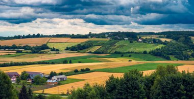 Batı Roztocze 'nin güzel bir manzarası. Dalgalanan tepeler, tarlalar ve ormanlar. Tarlaların arasında bir çiftlik. Roztocze, Polonya 'nın Toskana' sı olarak bilinir.. 