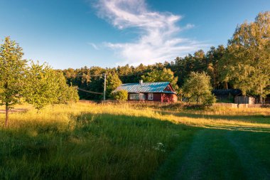 Charming old abandoned farmhouse with a blue roof. Krasnobrod, Poland