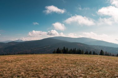 Beskid Zywiecki dağlarının zirvelerinin manzarası. Ön planda bir çayır. Rysianka, Polonya