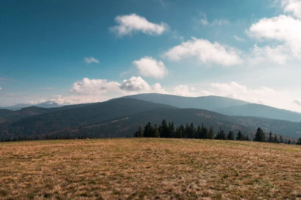 View Peaks Beskid Zywiecki Mountain Range Meadow Foreground Rysianka Poland — Stock Photo, Image